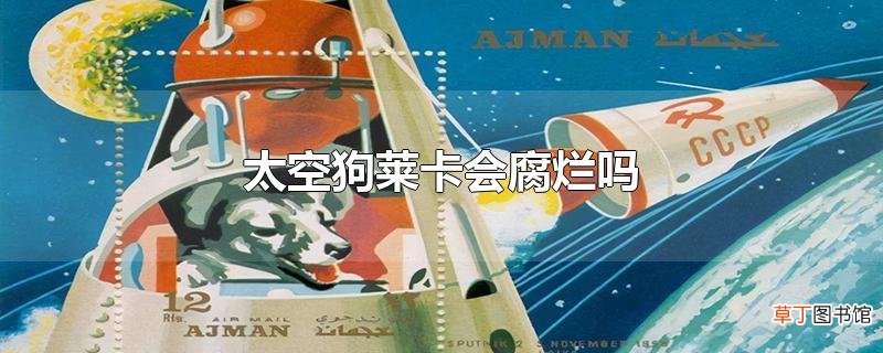 太空狗莱卡会腐烂吗