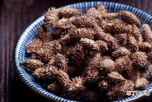 苍耳泡脚有什么作用-苍耳泡脚有什么作用
