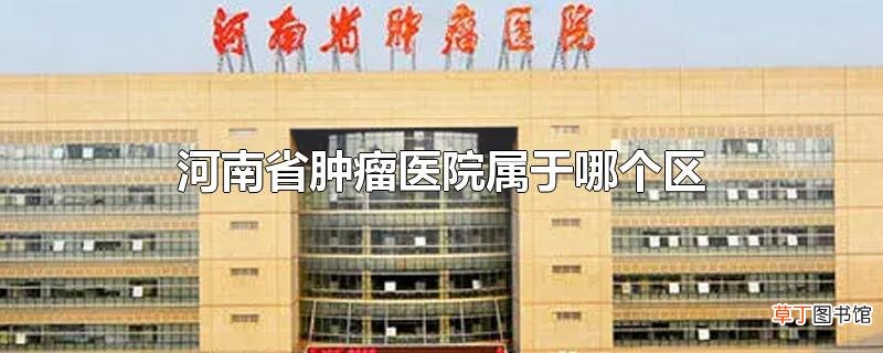 河南省肿瘤医院属于哪个区