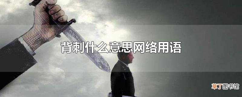 背刺什么意思网络用语