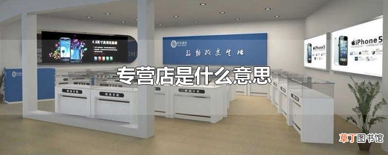 专营店是什么意思