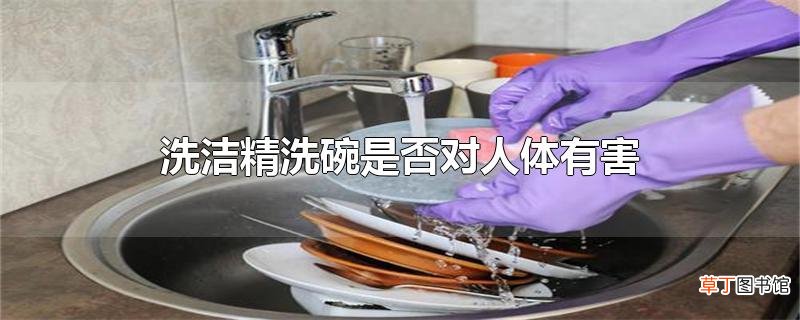 洗洁精洗碗是否对人体有害