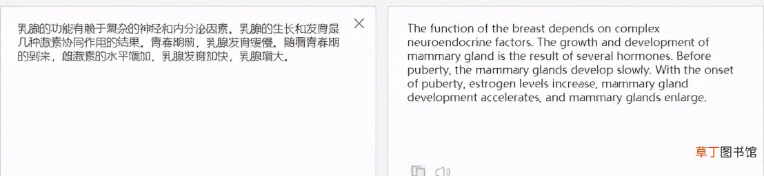手机网页实时翻译工具 网页翻译软件哪个好