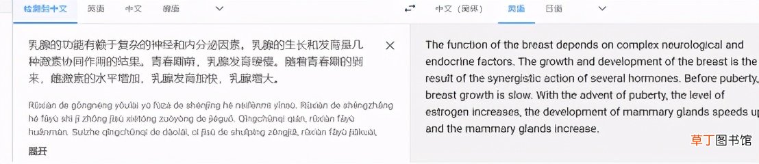手机网页实时翻译工具 网页翻译软件哪个好