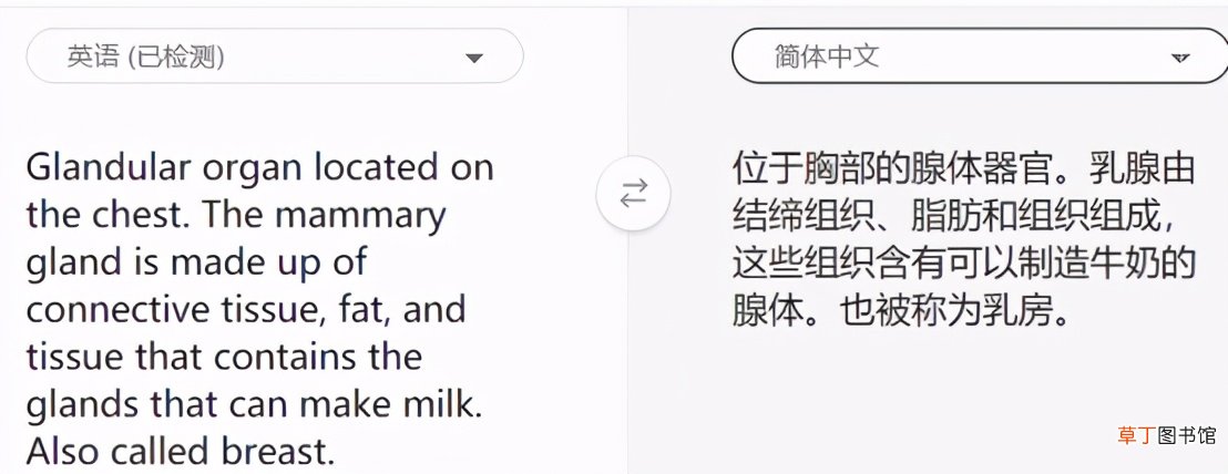手机网页实时翻译工具 网页翻译软件哪个好