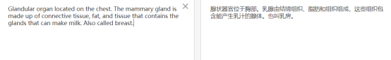 手机网页实时翻译工具 网页翻译软件哪个好