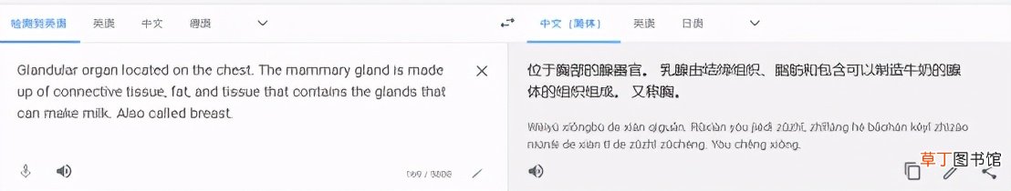 手机网页实时翻译工具 网页翻译软件哪个好