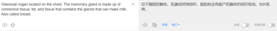 手机网页实时翻译工具 网页翻译软件哪个好