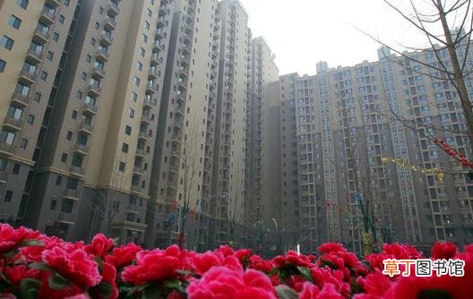广东省江门地区公租房的申请条件