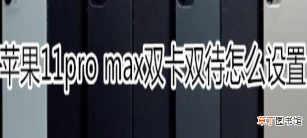 苹果11双卡双待怎么用？苹果皮双卡双待