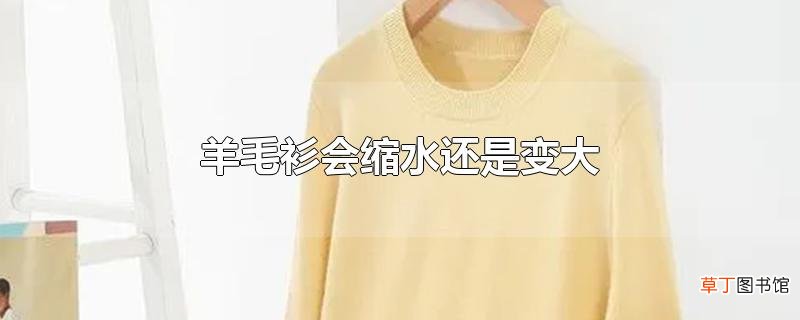 羊毛衫会缩水还是变大