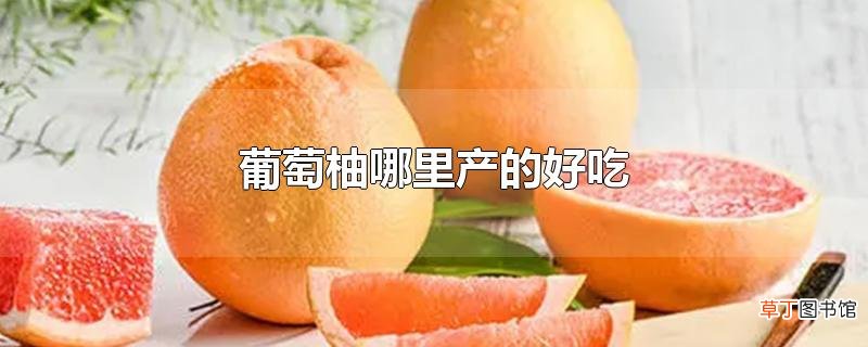 葡萄柚哪里产的好吃