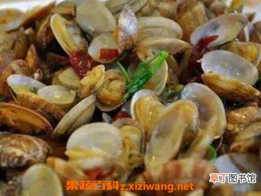 花蛤的营养价值及功效