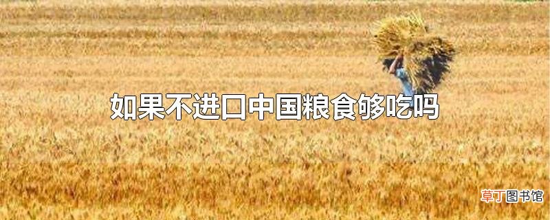 如果不进口中国粮食够吃吗