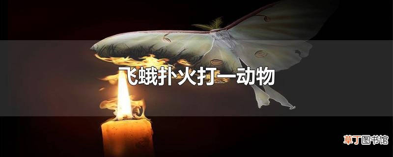 飞蛾扑火打一动物