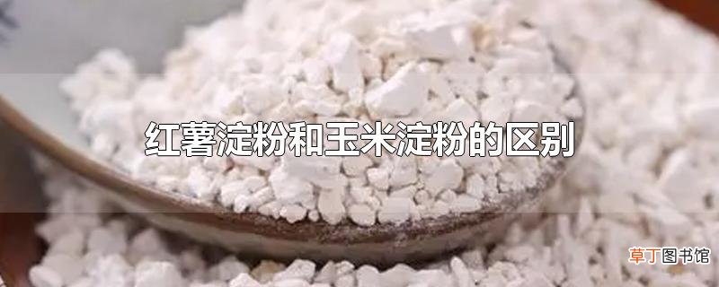 红薯淀粉和玉米淀粉的区别