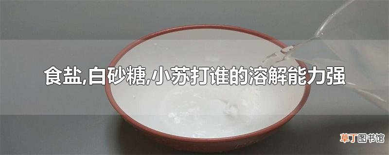 食盐,白砂糖,小苏打谁的溶解能力强