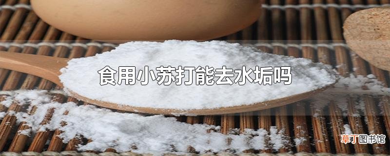 食用小苏打能去水垢吗
