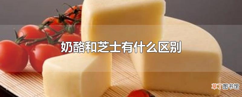 奶酪和芝士有什么区别