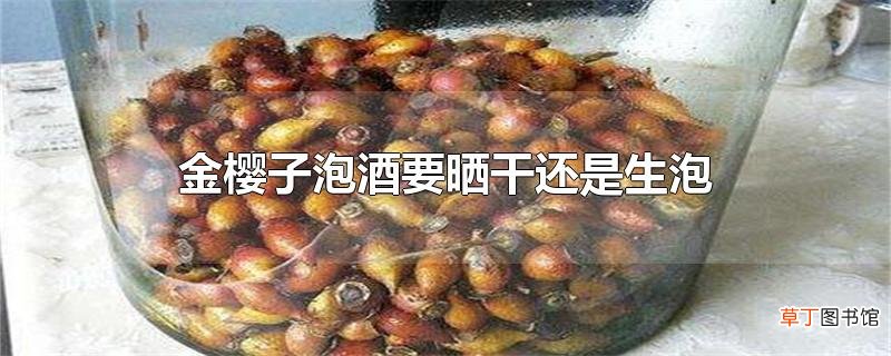 金樱子泡酒要晒干还是生泡