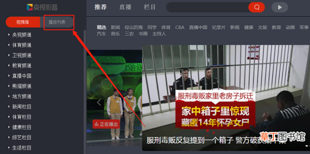 怎样下载cctv视频