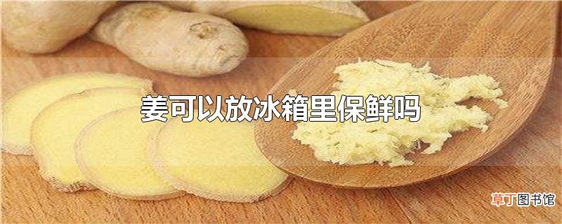 姜可以放冰箱里保鲜吗