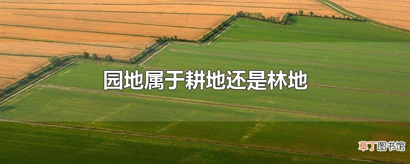 园地属于耕地还是林地