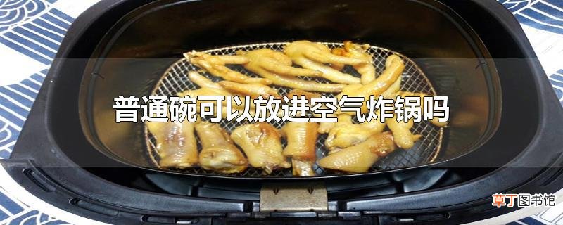 普通碗可以放进空气炸锅吗