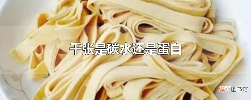 千张是碳水还是蛋白