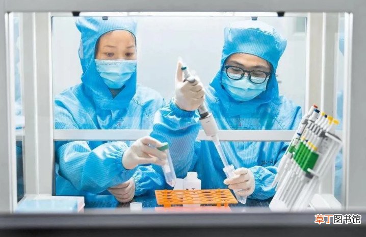 打完科兴第二针胳膊疼 北京科兴第二针反应强烈