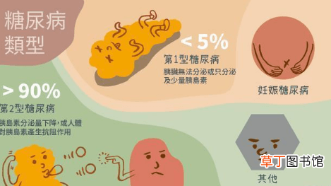 糖尿病1型和2型区别-糖尿病1型和2型有什么区别