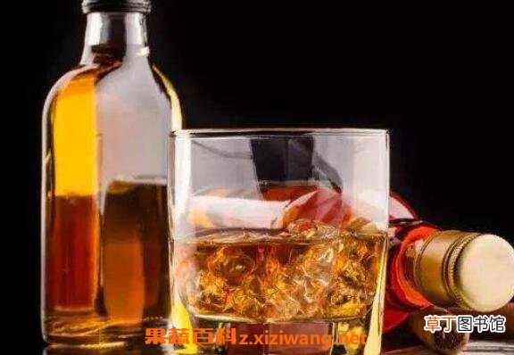 洋酒怎么喝 常见洋酒的正确喝法