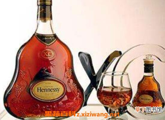 洋酒怎么喝 常见洋酒的正确喝法