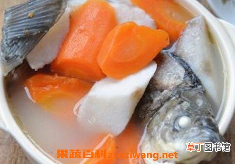 鲫鱼胡萝卜汤的功效与作用