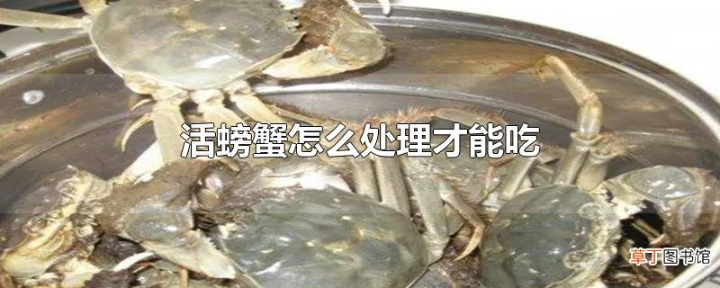 活螃蟹怎么处理才能吃
