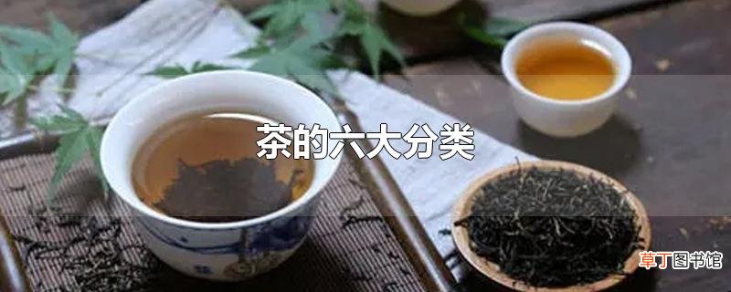 茶的六大分类