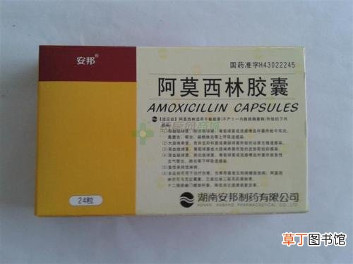 阿莫西林胶囊一次吃几粒-阿莫西林胶囊一次几颗