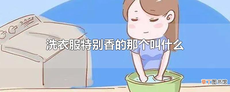 洗衣服特别香的那个叫什么