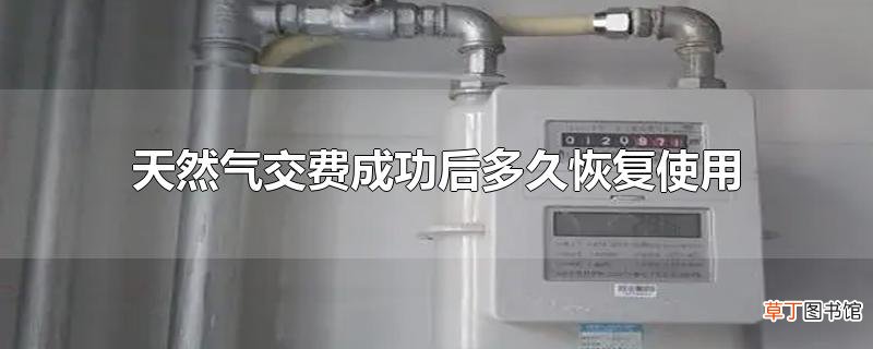 天然气交费成功后多久恢复使用