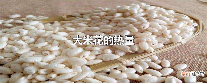 大米花的热量