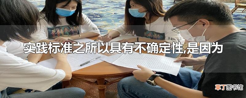 实践标准之所以具有不确定性,是因为