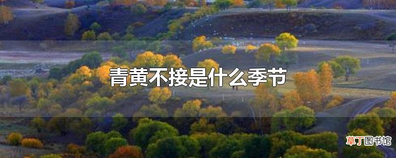 青黄不接是什么季节