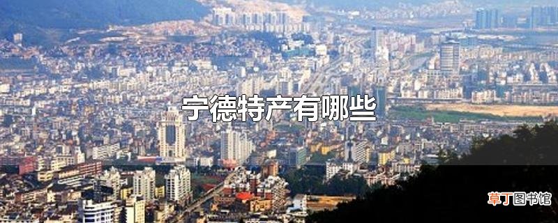 宁德特产有哪些
