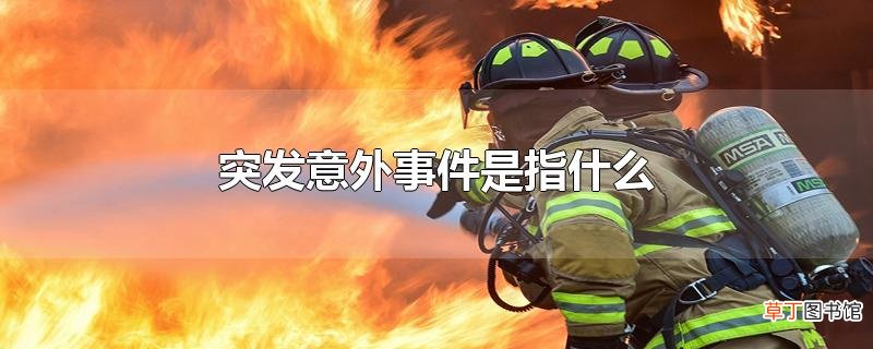 突发意外事件是指什么