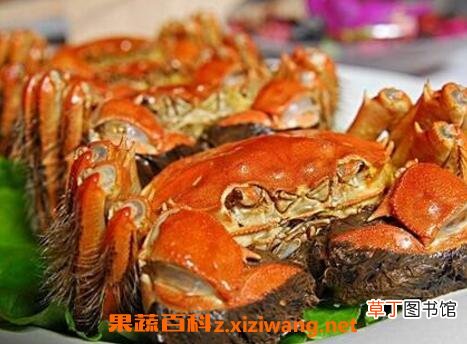 大闸蟹怎么洗 大闸蟹的清洗方法教程