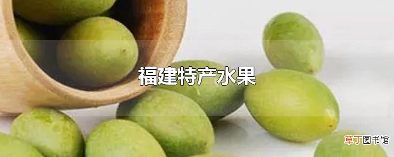 福建特产水果