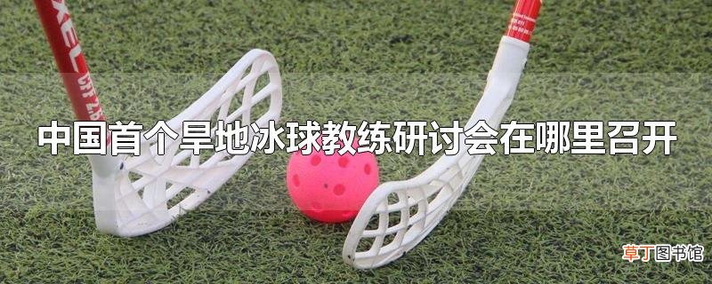 中国首个旱地冰球教练研讨会在哪里召开