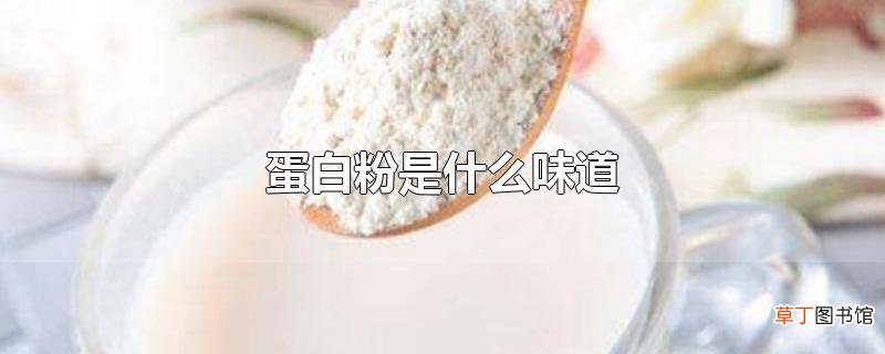 蛋白粉是什么味道