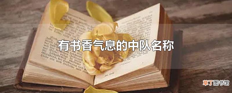 有书香气息的中队名称