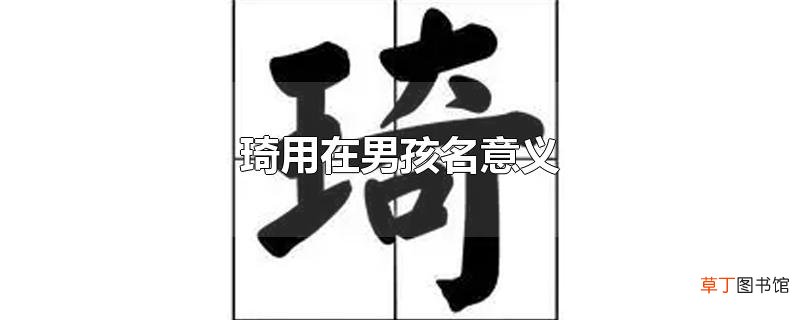 琦用在男孩名意义